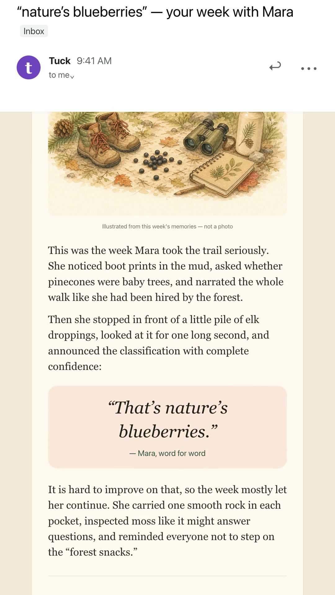 The first illustrated Sunday chapter arriving by email